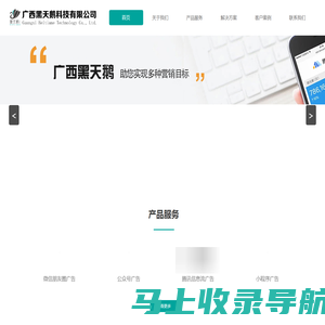 广西黑天鹅科技有限公司